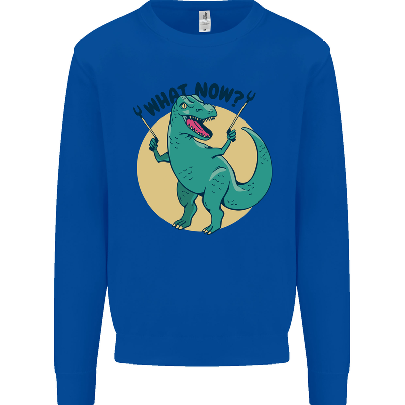 T-Rex What Now Funny Dinosaur Mens Sweatshirt Jumper Royal Blue