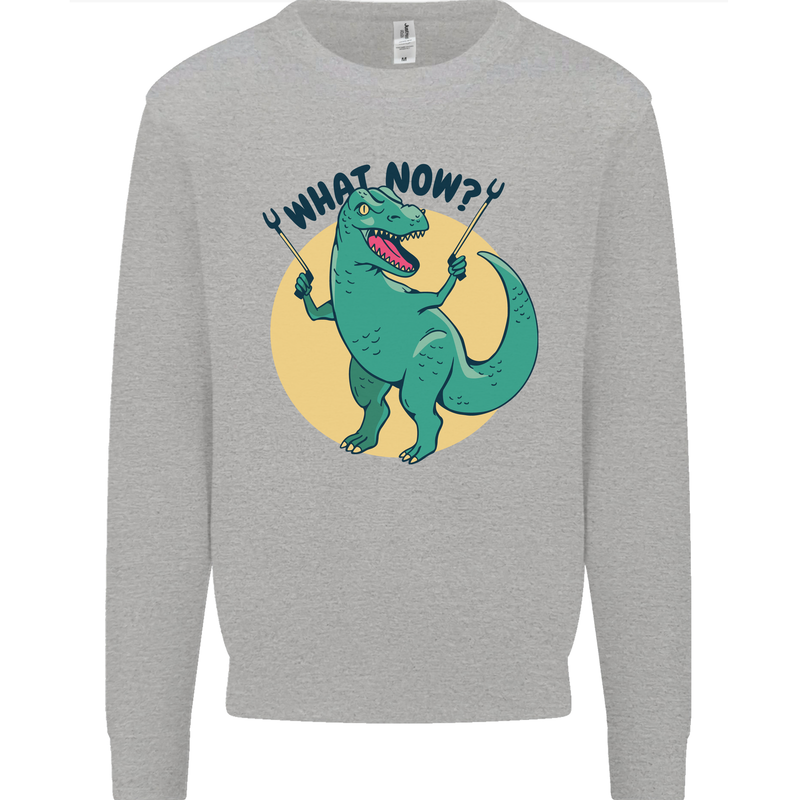 T-Rex What Now Funny Dinosaur Mens Sweatshirt Jumper Sports Grey