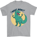 T-Rex What Now Funny Dinosaur Mens T-Shirt Cotton Gildan Sports Grey