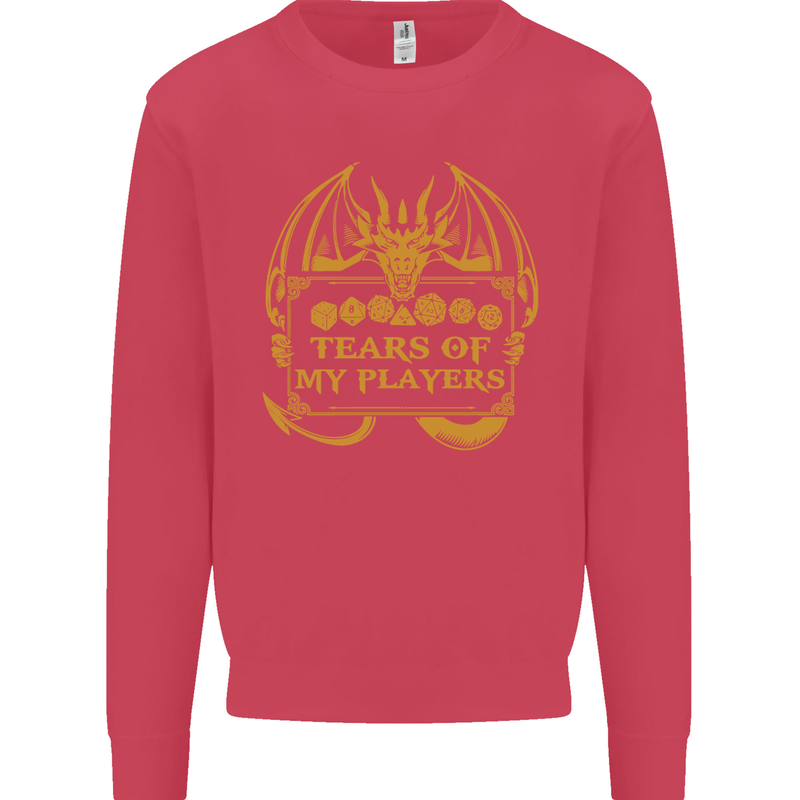 Tears of My Players RPG Role Playing Games Kids Sweatshirt Jumper Heliconia