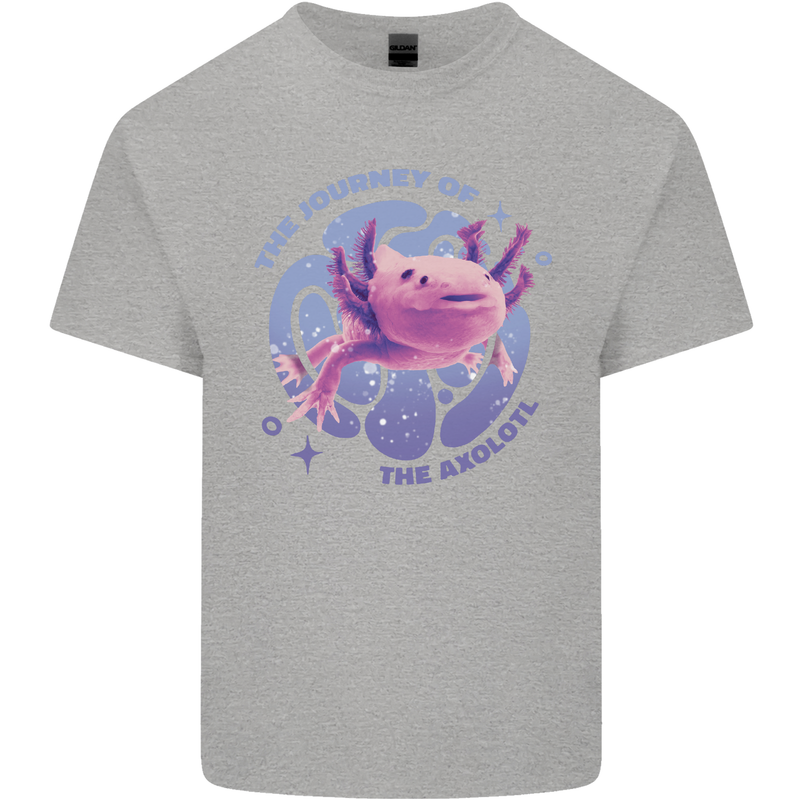 The Journey of the Axolotl Kids T-Shirt Childrens Sports Grey