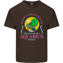 The Power of a Aquarius Woman Star Sign Kids T-Shirt Childrens Chocolate