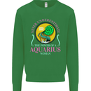 The Power of a Aquarius Woman Star Sign Mens Sweatshirt Jumper Irish Green