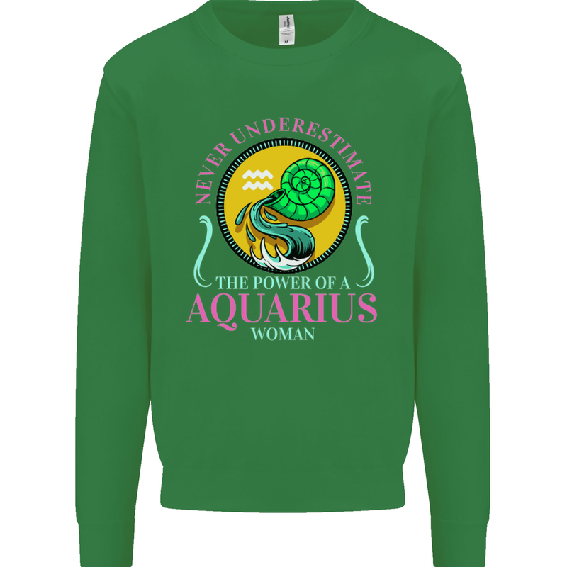 The Power of a Aquarius Woman Star Sign Mens Sweatshirt Jumper Irish Green