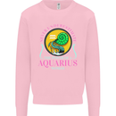 The Power of a Aquarius Woman Star Sign Mens Sweatshirt Jumper Light Pink