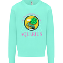 The Power of a Aquarius Woman Star Sign Mens Sweatshirt Jumper Peppermint