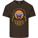 The Power of a Aries Woman Star Sign Kids T-Shirt Childrens Chocolate