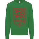 The Vikings Valknut Symbol Lions Valhalla Kids Sweatshirt Jumper Irish Green