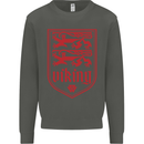 The Vikings Valknut Symbol Lions Valhalla Kids Sweatshirt Jumper Storm Grey