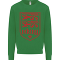 The Vikings Valknut Symbol Lions Valhalla Mens Sweatshirt Jumper Irish Green