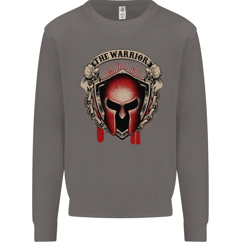 The Warrior Gym Spartan Helmet Bodybuilding Mens Sweatshirt Jumper Charcoal