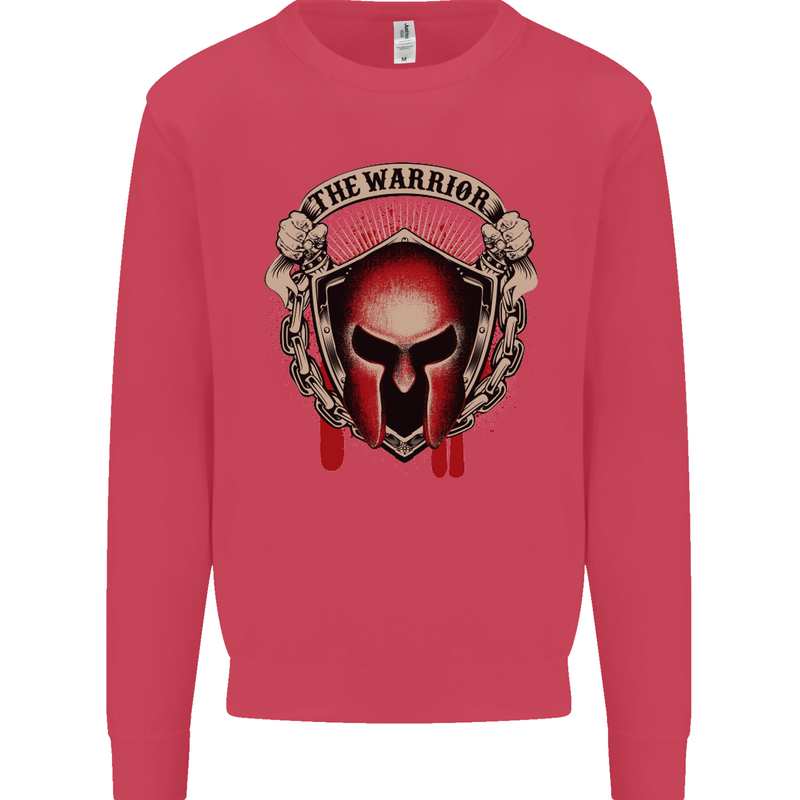 The Warrior Gym Spartan Helmet Bodybuilding Mens Sweatshirt Jumper Heliconia