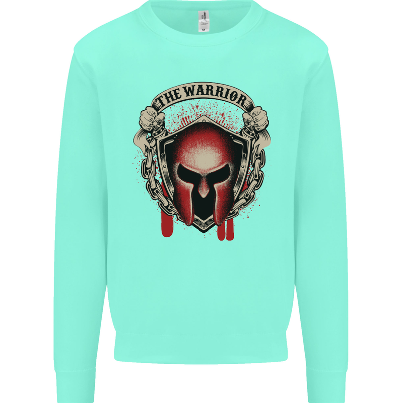 The Warrior Gym Spartan Helmet Bodybuilding Mens Sweatshirt Jumper Peppermint