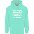 This Is What an Awesome Lorry Driver Looks Mens 80% Cotton Hoodie Peppermint