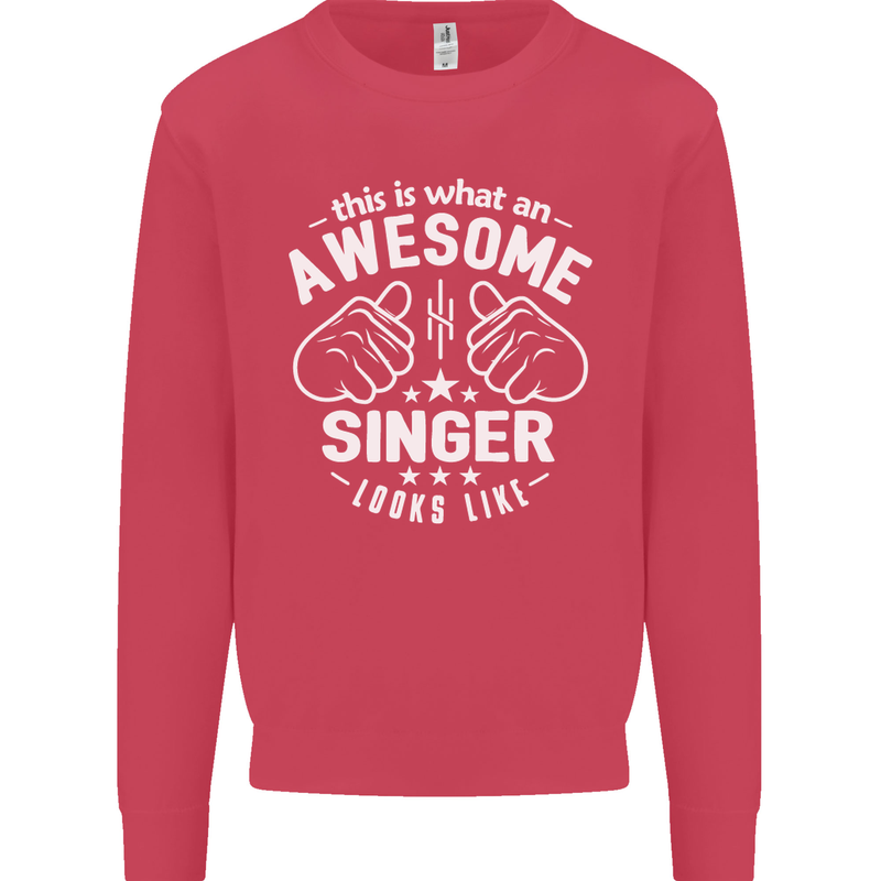This Is What an Awesome Singer Looks Like Mens Sweatshirt Jumper Heliconia