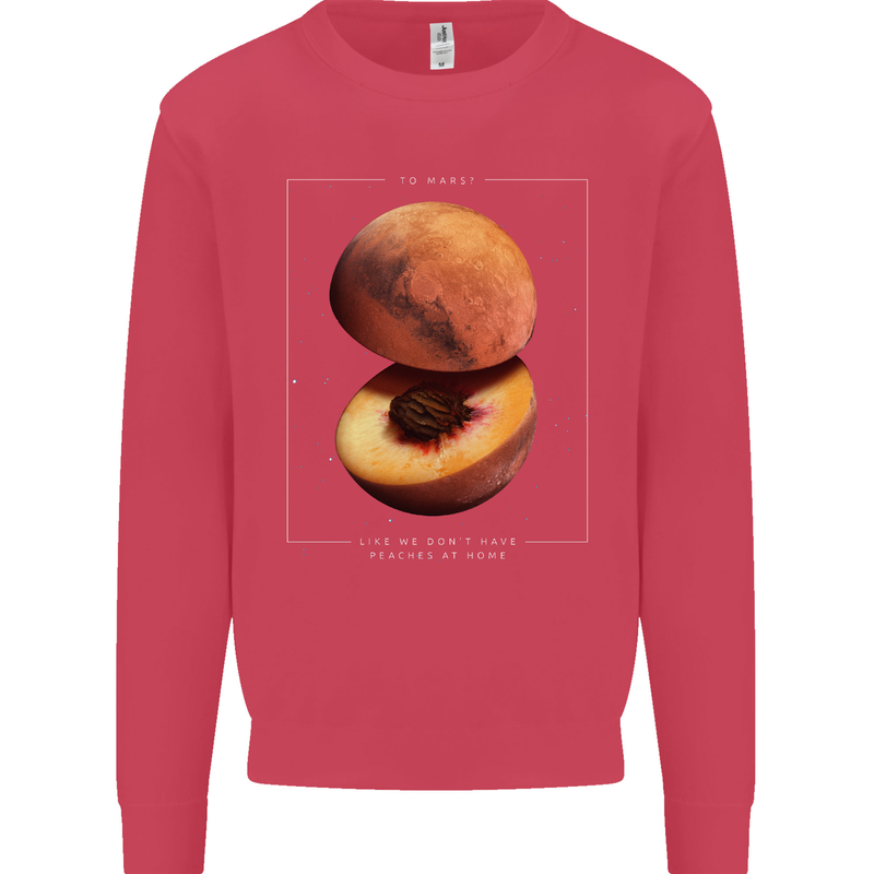 To Mars Peaches Space Planets Cosmos Kids Sweatshirt Jumper Heliconia