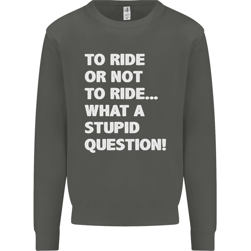 To Ride or Not to? What a Stupid Question Kids Sweatshirt Jumper Storm Grey