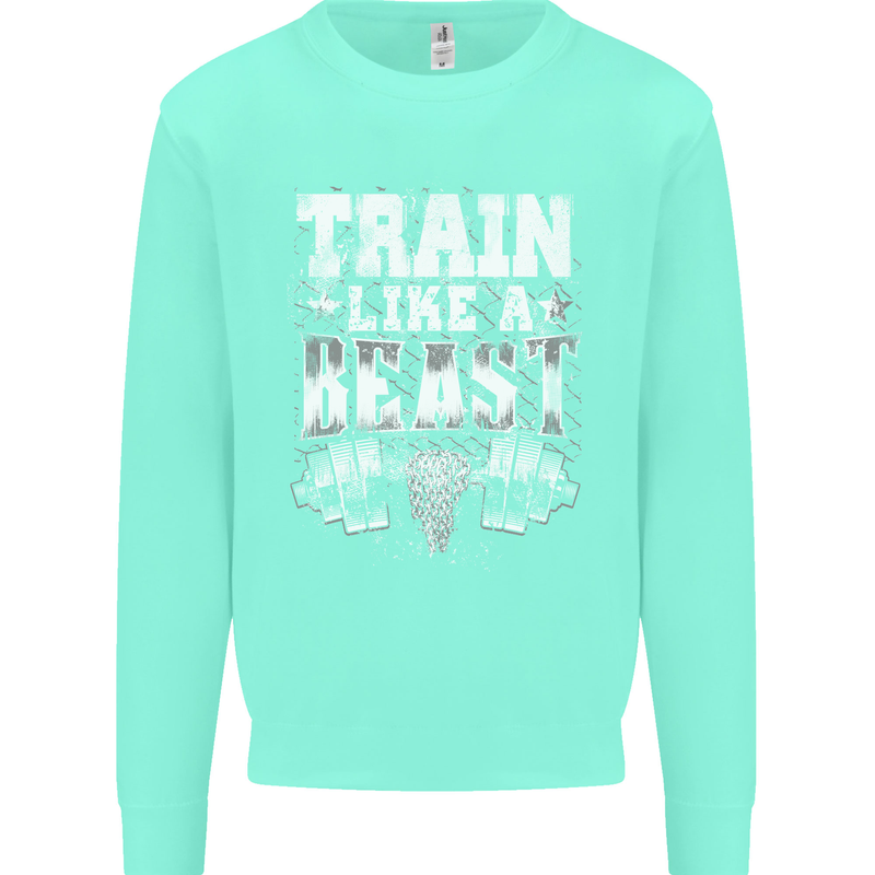 Train Like a Beast Gym Training Top Mens Sweatshirt Jumper Peppermint