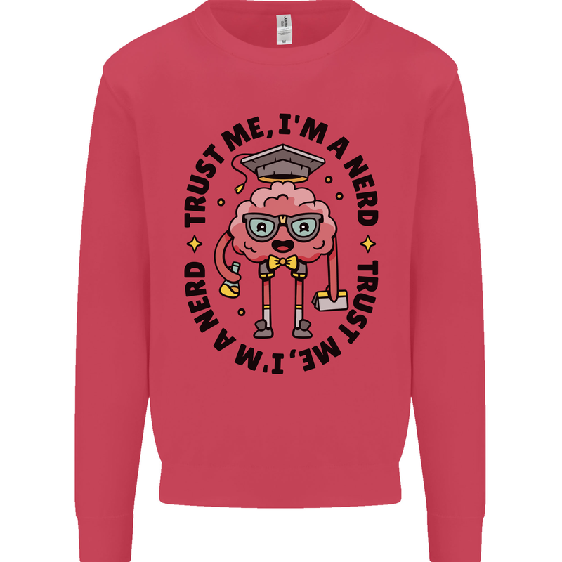 Trust Me I'm a Nerd Geek Graduate Brainy Kids Sweatshirt Jumper Heliconia