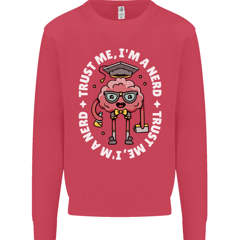 Trust Me I'm a Nerd Geek Graduate Brainy Mens Sweatshirt Jumper Heliconia