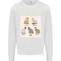 Types of Cat Persian Siamese British Bengal Mens Sweatshirt Jumper White