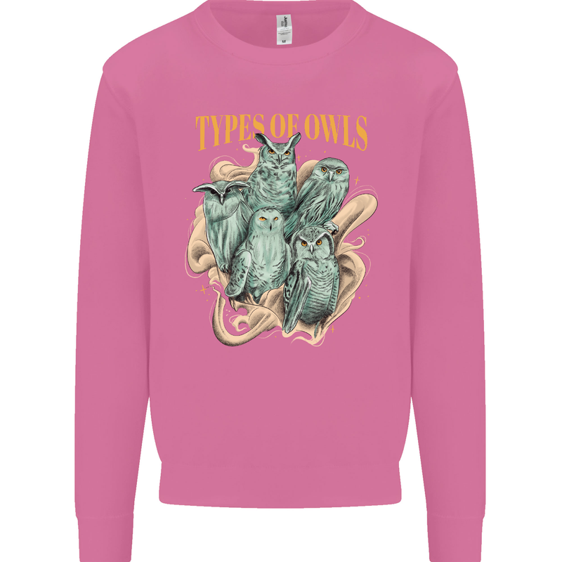 Types of Owls Species Mens Sweatshirt Jumper Azalea