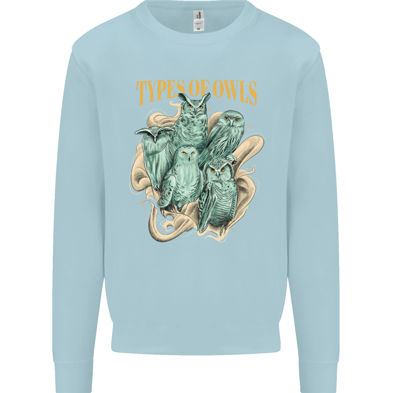 Types of Owls Species Mens Sweatshirt Jumper Light Blue