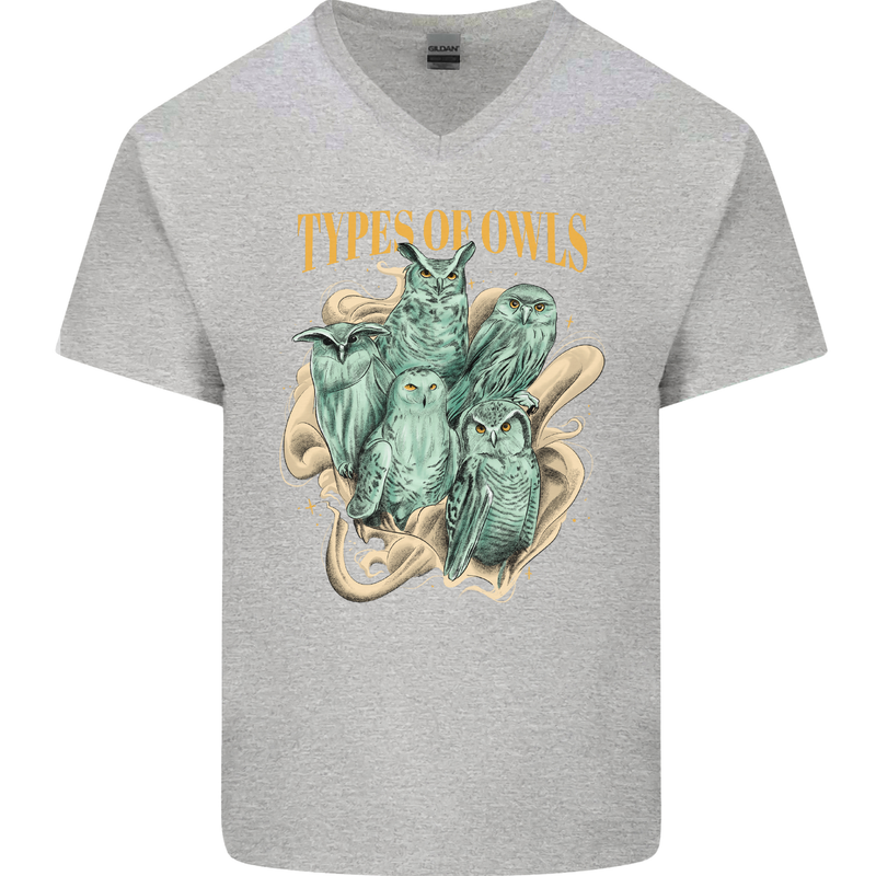 Types of Owls Species Mens V-Neck Cotton T-Shirt Sports Grey