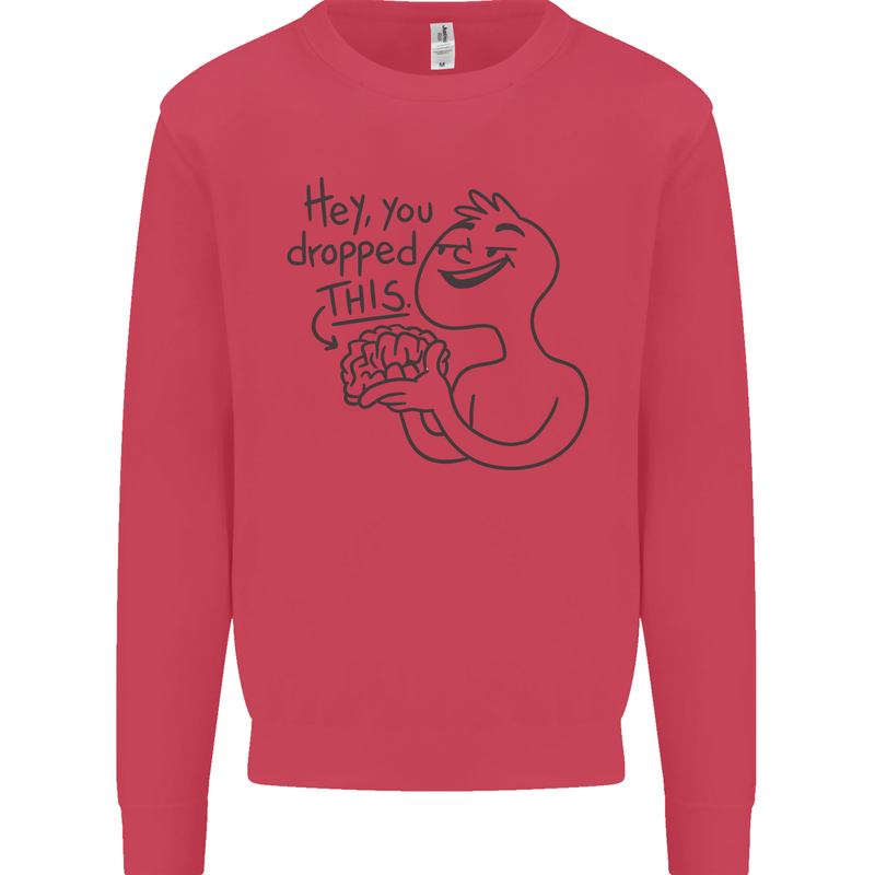 U Dropped Your Brain Sarcastic Dumb Stupid Kids Sweatshirt Jumper Heliconia