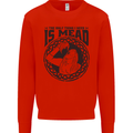 Viking Mead Funny Alcohol Beer Drunk Kids Sweatshirt Jumper Bright Red