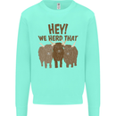 We Herd That Funny Cow Kids Sweatshirt Jumper Peppermint