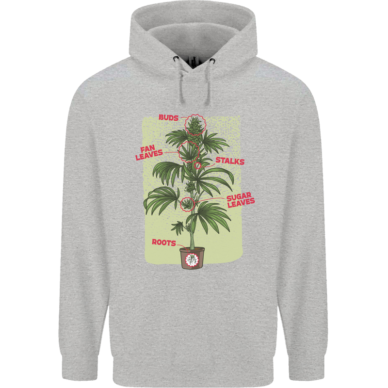 Weed Plant Cannabis Bud Drugs Marijuana Childrens Kids Hoodie Sports Grey