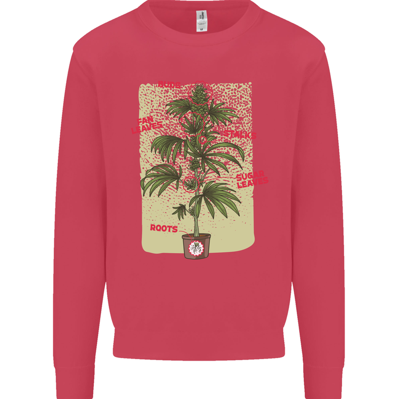 Weed Plant Cannabis Bud Drugs Marijuana Kids Sweatshirt Jumper Heliconia