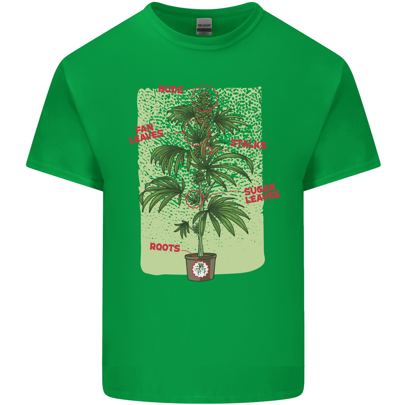 Weed Plant Cannabis Bud Drugs Marijuana Kids T-Shirt Childrens Irish Green