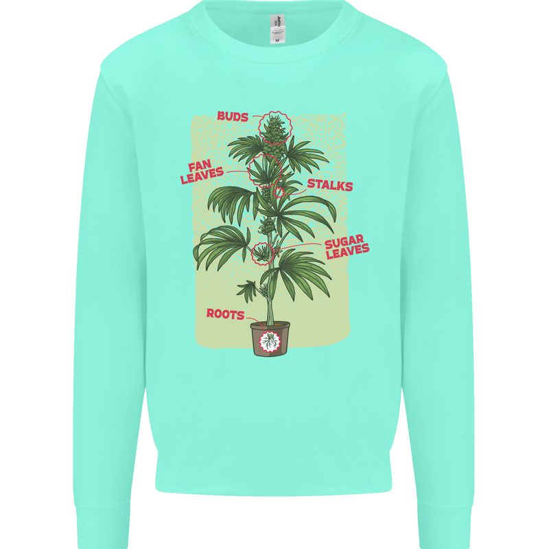 Weed Plant Cannabis Bud Drugs Marijuana Mens Sweatshirt Jumper Peppermint