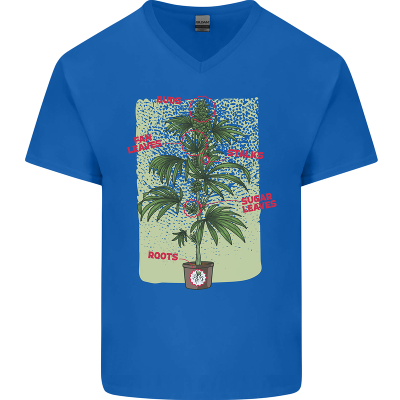 Weed Plant Cannabis Bud Drugs Marijuana Mens V-Neck Cotton T-Shirt Royal Blue