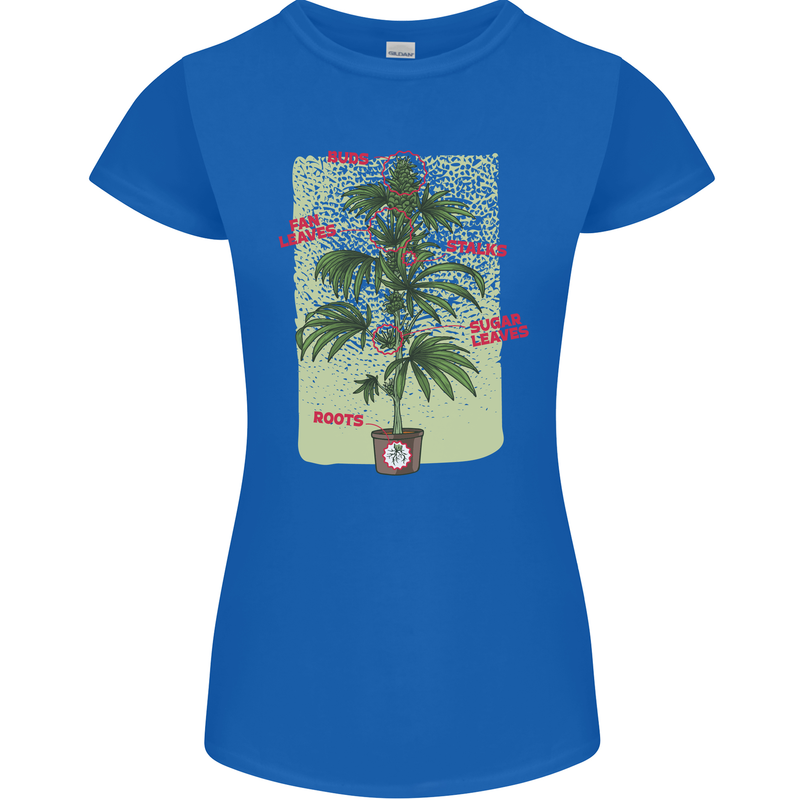 Weed Plant Cannabis Bud Drugs Marijuana Womens Petite Cut T-Shirt Royal Blue