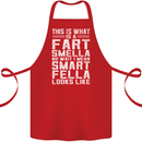 What a Fart Smella Looks Like Funny Slogan Cotton Apron 100% Organic Red