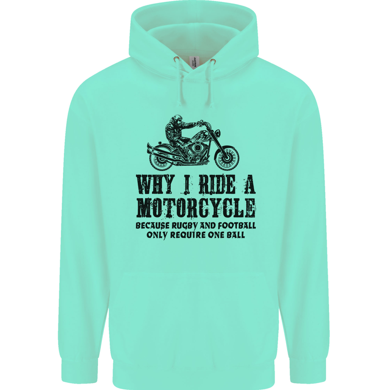 Why I Ride a Motorcycle Biker Funny Bike Mens 80% Cotton Hoodie Peppermint