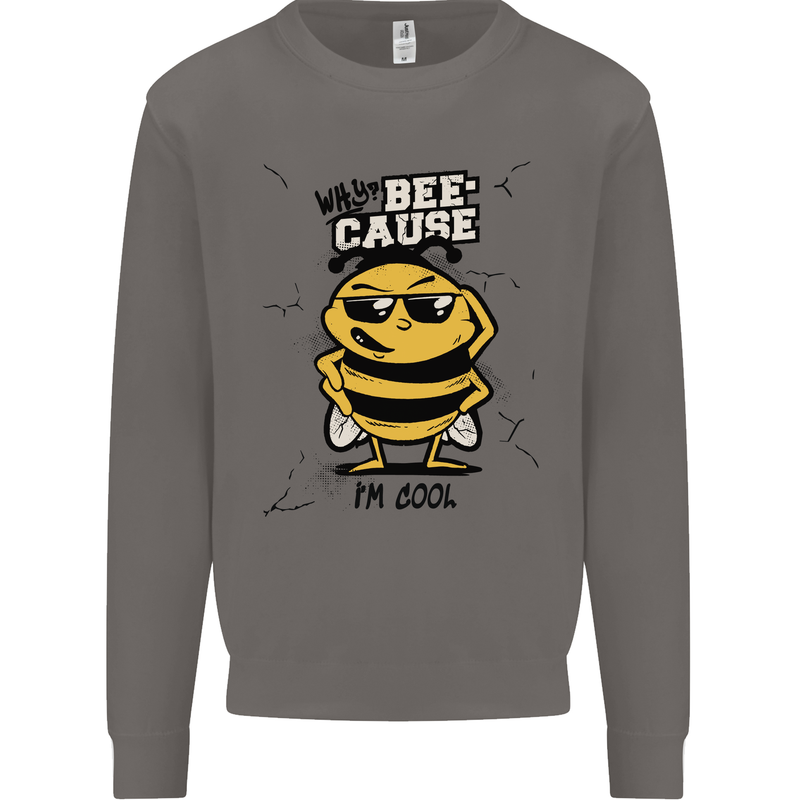 Why? Bee-Cause I'm Cool Funny Bee Mens Sweatshirt Jumper Charcoal