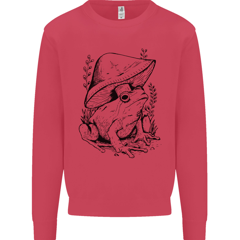 Wildlife Ecology a Frog and a Toadstool Kids Sweatshirt Jumper Heliconia