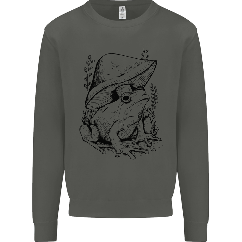 Wildlife Ecology a Frog and a Toadstool Kids Sweatshirt Jumper Storm Grey