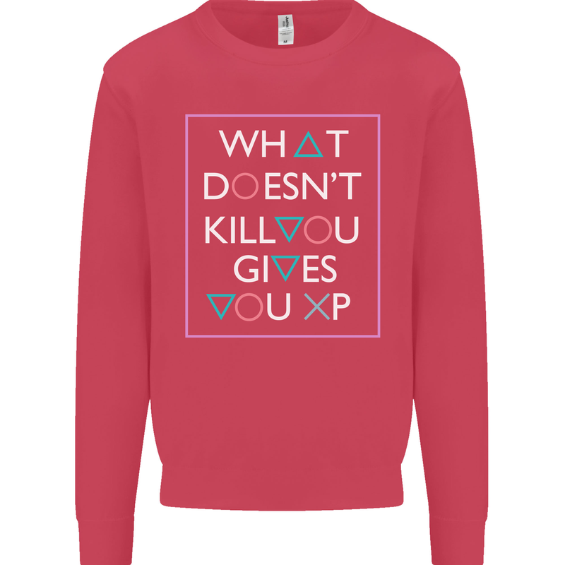 XP Gamer Gaming Arcade Games RPG Kids Sweatshirt Jumper Heliconia