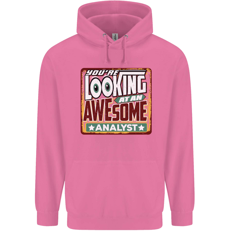 You're Looking at an Awesome Analyst Mens 80% Cotton Hoodie Azelea