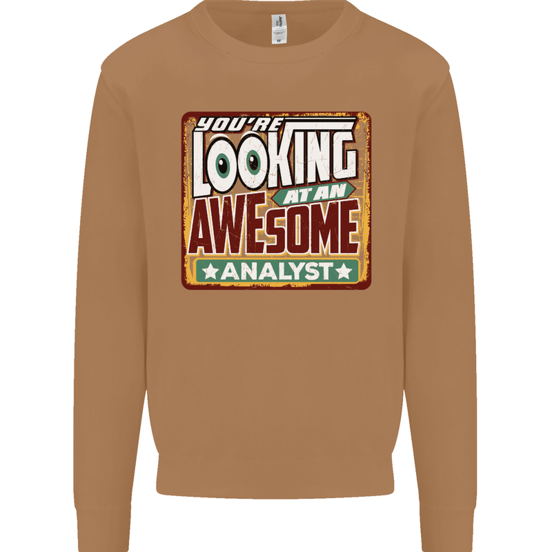 You're Looking at an Awesome Analyst Mens Sweatshirt Jumper Caramel Latte