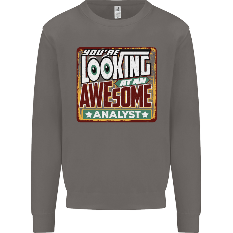 You're Looking at an Awesome Analyst Mens Sweatshirt Jumper Charcoal