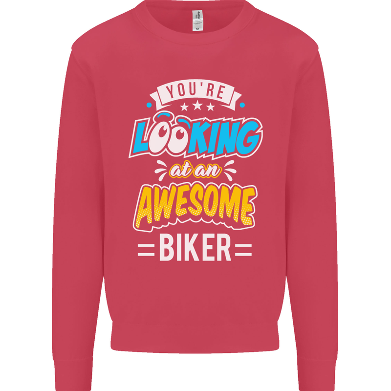 You're Looking at an Awesome Biker Mens Sweatshirt Jumper Heliconia