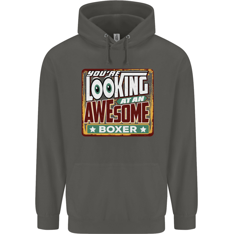 You're Looking at an Awesome Boxer Boxing Childrens Kids Hoodie Storm Grey