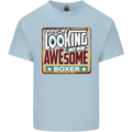 You're Looking at an Awesome Boxer Boxing Kids T-Shirt Childrens Light Blue