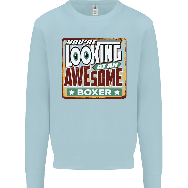 You're Looking at an Awesome Boxer Boxing Mens Sweatshirt Jumper Light Blue